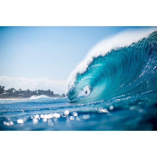 Zak Noyle - Backdoor