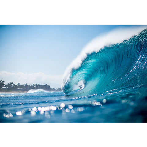 Zak Noyle - Backdoor