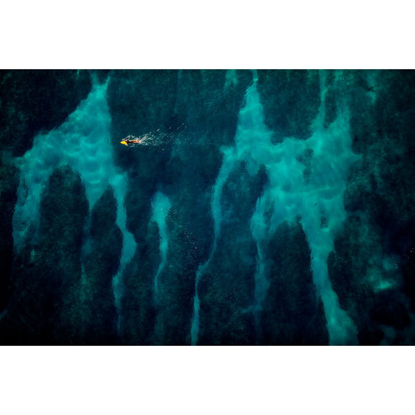 Zak Noyle - Reef