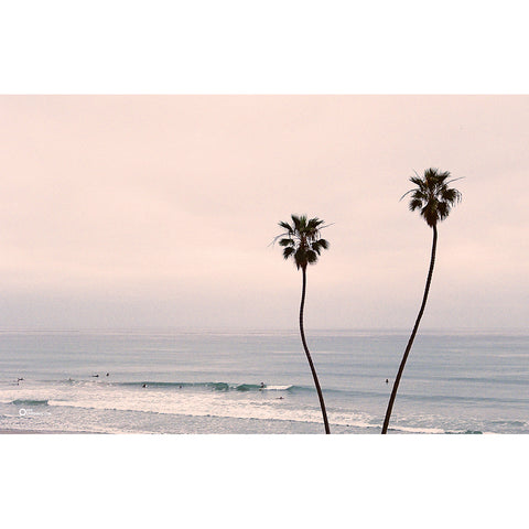 Kerchromatic - California palmtree