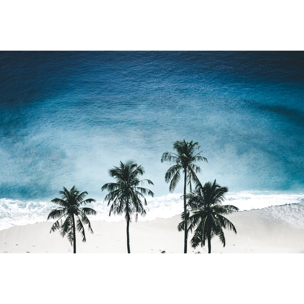 Jeremie Kerchrom - Ocean Palmtree